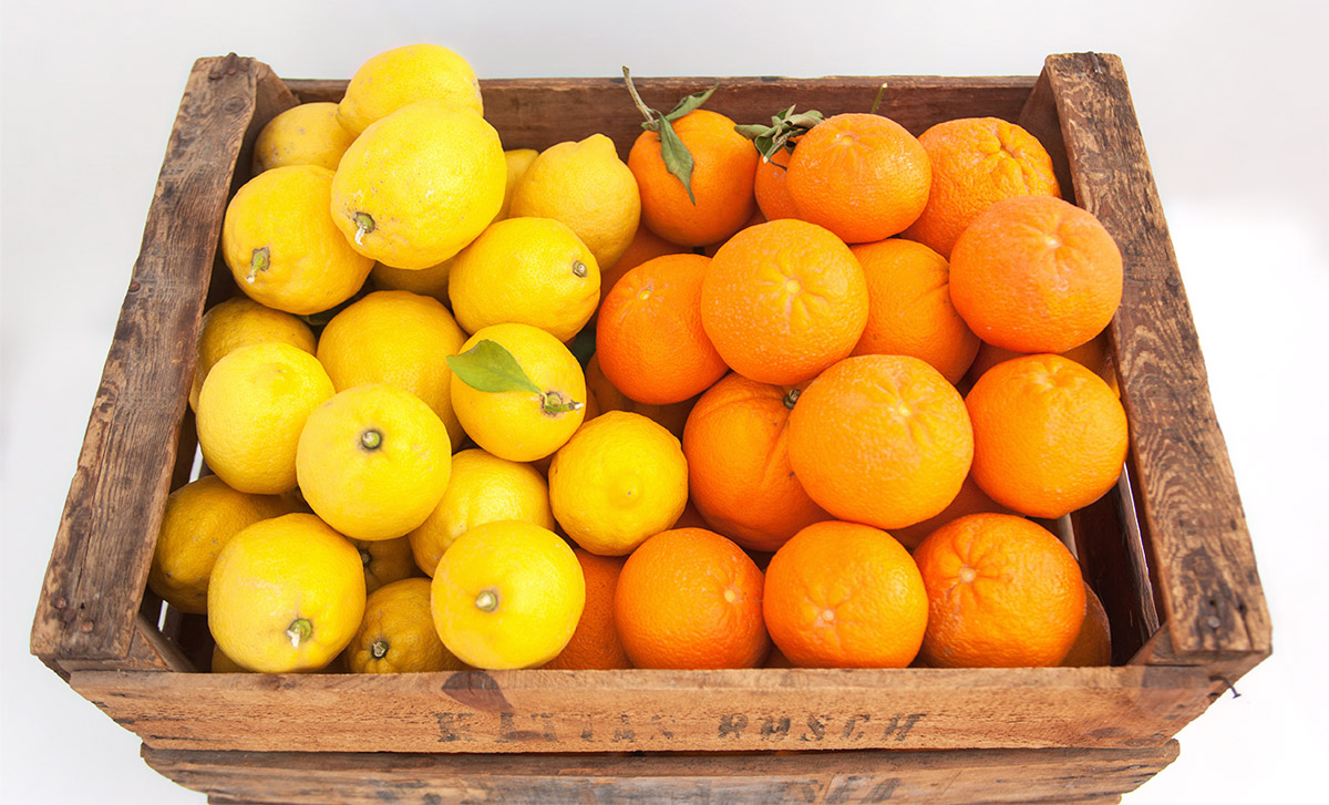 Caja mixta de naranjas de zumo y limones
