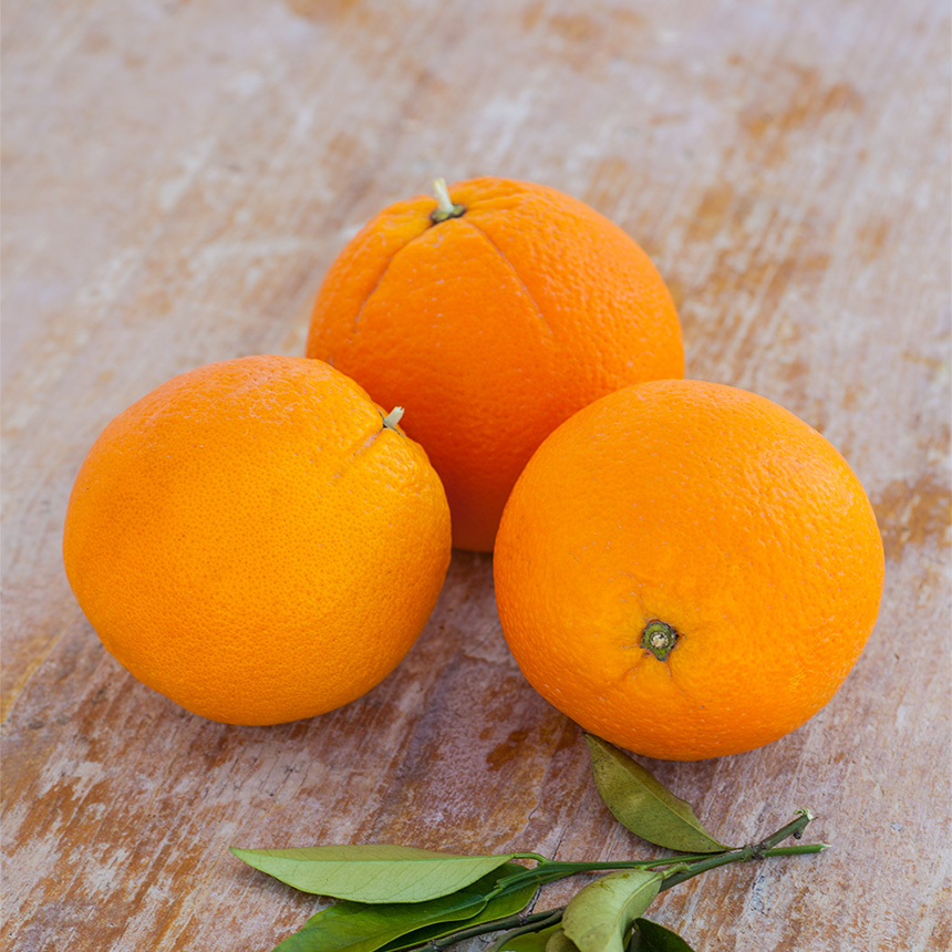 Comprar naranjas mesa online
